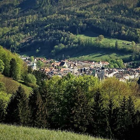 Appartement Kohlnberger Waidhofen an der Ybbs Exteriör bild
