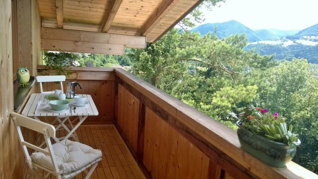 Appartement Kohlnberger Waidhofen an der Ybbs Exteriör bild