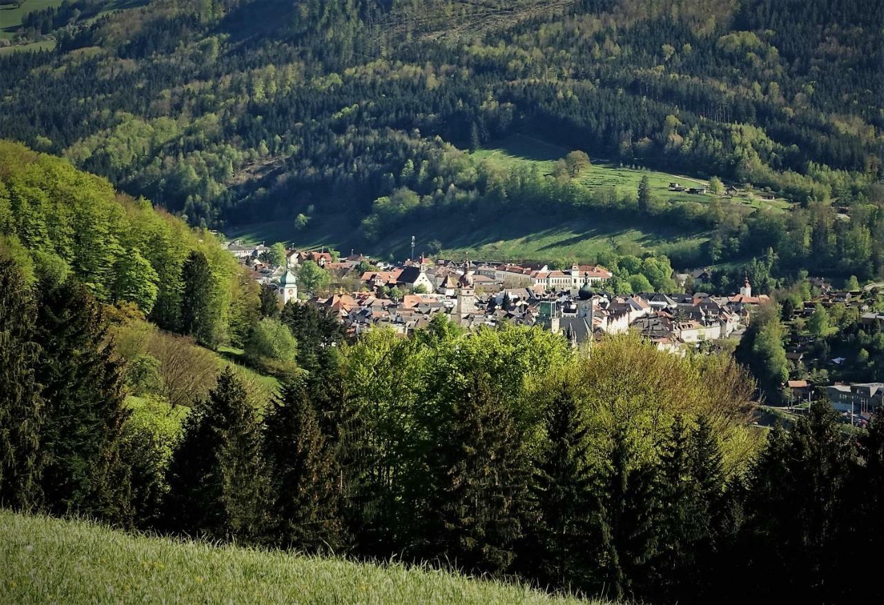 Appartement Kohlnberger Waidhofen an der Ybbs Exteriör bild