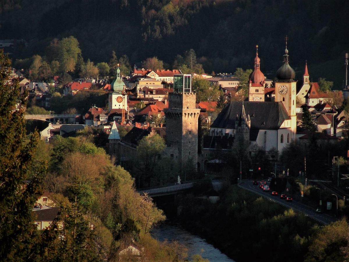 Appartement Kohlnberger Waidhofen an der Ybbs Exteriör bild